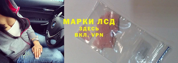 a pvp Аркадак