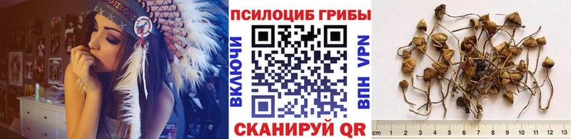 Псилоцибиновые грибы мицелий  что такое наркотик  МЕГА как зайти  Баймак 